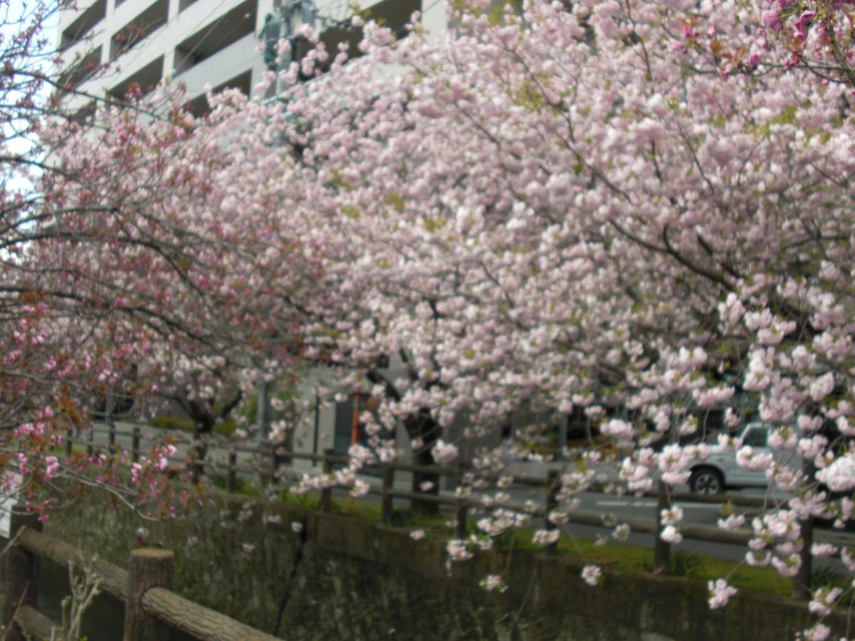 Plaza Hotel Fujinoi Hita Exterior foto